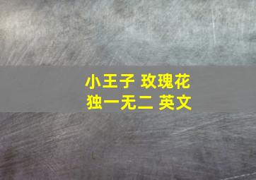 小王子 玫瑰花 独一无二 英文